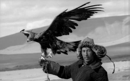 Kazahk Eagle Mongolia