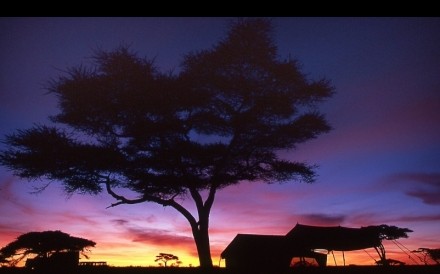 Serengeti Camp