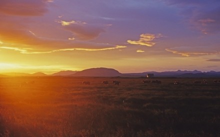 Landscape  Iceland