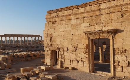Palmyra 056