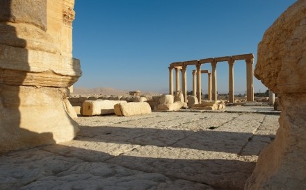 Palmyra 063