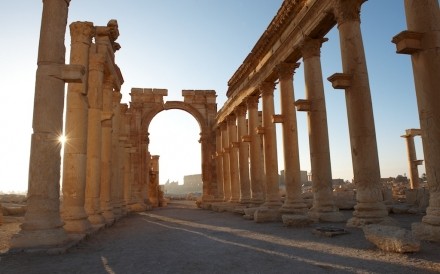 Palmyra 053