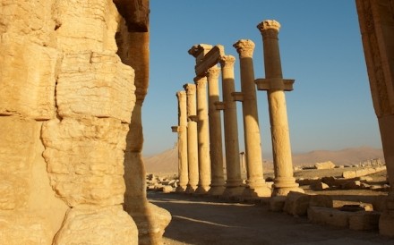 Palmyra 051