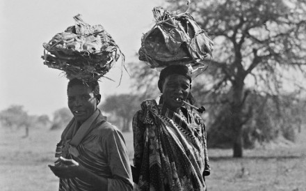 Women with fish